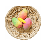 Cogshall Mango Tree Dwarf, Grafted