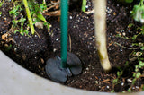 Premium Grow Stake - FREE SHIPPING ON 4 OR MORE
