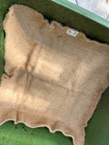 Meme's Worm Blanket