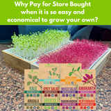 Microgreens growing in trays with seed packets labeled on a countertop.