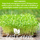 Zesti Greens microgreens with promotional text about fast growth and ease of cultivation.