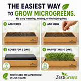 An infographic explaining how to grow microgreens using the ZestiGreens wooden tray. The graphic features four numbered panels: adding water, adding seeds (with a hand), covering the tray for 3 days, and harvesting in 5-7 days.