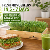 A wooden ZestGreens microgreen planter box filled with lush green microgreens, shown on a kitchen counter with a sandwich and a green drink. Text overlays read 'FRESH MICROGREENS IN 5 - 7 DAYS' and 'HAND DOWN THE EASIEST WAY TO GROW MICROGREENS'.