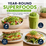 Promotional graphic for year-round superfoods showing prepared meals and a green smoothie: a salad bowl, a glass of green smoothie with a straw, a sandwich on bread, and salmon with asparagus. Large text reads 'YEAR-ROUND SUPERFOODS' with smaller copy about fresh, nutritious, any season.