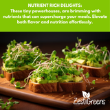 Microgreens on toast with a Zesti Greens logo, text about nutrient-rich benefits.