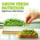 Hand placing microgreens on a sandwich with text 'Grow Fresh Nutrition Right From Your Kitchen'.