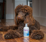 Brown dog lying on a wooden floor with a bottle of Nightrange product.