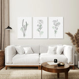 Modern living room with a white sofa, wooden coffee table, and Boho Botanical Art Prints | Set of 3 Green Leaves