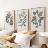 Three framed botanical prints on a wall above a bed with pillows and a lamp.