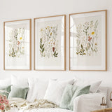 Three framed botanical prints on a wall above a white sofa.