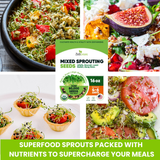 Collage of sprouts in various dishes with a package of mixed sprouting seeds in the center.