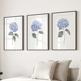 Three framed prints of blue flowers on a wall above a sofa.