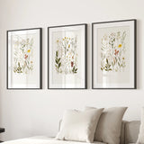Three framed botanical prints on a wall above a sofa with pillows.