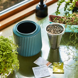 Flower Grow Kit on a table with hydroponic plants and instructions.