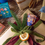 Gift wrapped in brown paper with greenery and a dried orange slice, surrounded by gardening books on a textured surface. Seed Pops - Pollinator