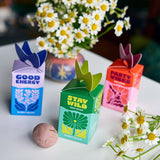 Three small cardboard boxes labeled 'Good Energy', 'Stay Wild', and 'Party Vibes' with Seed Bombs and flowers on a white surface. 