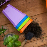 Colorful seedling tray on a wooden surface with plants and soil. 3.3" Heavy Duty Seed Starting Pots with Inserts