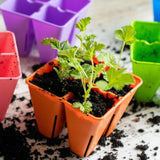 Small green plants in orange pots with soil, surrounded by scattered soil on a light surface. 4 Cell Plug Tray Inserts