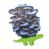 Blue and purple mushrooms on a green dinosaur Mushasaurus - Blue Oyster Mushroom Grow Kit
