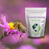 Beef on a pink flower with 'Pollinator Paradise Native Mix' Earthwise seed packet in the background