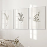 Three framed botanical prints on a wall with a bed and decorative items in the foreground.