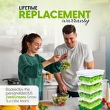Couple in a kitchen with ZestiGreens indoor gardening system and salad.