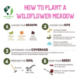 Step-by-step guide on how to plant a wildflower meadow with Earthwise logo.