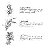 Illustrations of eucalyptus, lavender, and peppermint leaves with descriptive text on a white background.