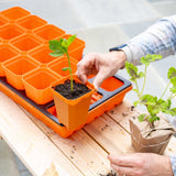 Person planting a seedling in an orange pot with a tray of seedlings in the background. 3.3" Heavy Duty Seed Starting Pots with Inserts
