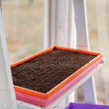 Stack of colorful seedling trays with soil on a white surface