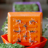 5X5 Shallow Microgreen Trays on a blurred natural background