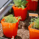 Orange planters with green plants on a garden bed