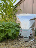 Bag of MEMES Worms in a garden setting with plants and a wooden fence.