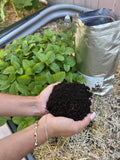 Organic Fertilizer - Worm Castings for GrowOya