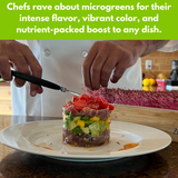 Chef garnishing a dish with microgreens in a kitchen setting.