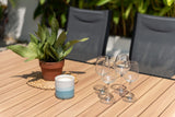 Outdoor setting with a wooden table, potted plant, candle, and wine glasses.