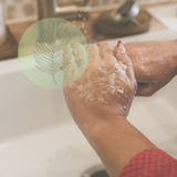 The Palm Scrub
