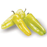 Three green peppers on a white background PEPPER Seeds, Cubanelle