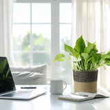 Home office desk with laptop, mug, notebook, and Potted Pothos in Black Tan Jute Planter in front of a window.
