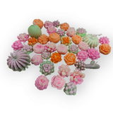 Assorted colorful succulent-shaped candies on a white background