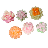 Set of colorful flower-shaped candles on a white background
