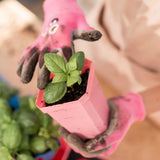Person wearing pink gardening gloves holding a small plant in a pink pot with a blurred background. 3.3" Heavy Duty Seed Starting Pots