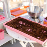 Pink seedling tray filled with soil on a table outdoors