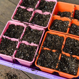 Seedling trays filled with soil on a wooden surface 4 Cell Plug Tray Inserts