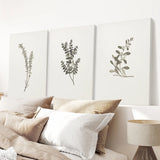Three botanical wall art prints above a bed with pillows and a lamp.
