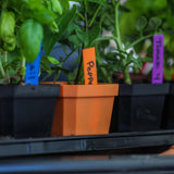 Potted plants with colorful labels in a greenhouse setting