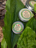 Plantain 1st Aid Salve – Natural Herbal Wound & Bite Remedy