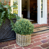 Potted plant on a brick porch with a house in the background