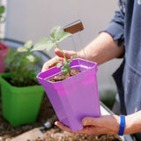 Person holding a small plant in a purple pot with a garden background