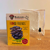 Fungi Friends mushroom growing kit with packaging and spray bottle on a wooden surface